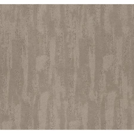 Shaw Floors Nfa Moon Beam Chic Greige