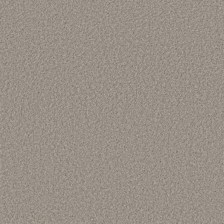 Shaw Floors Nfa Inspire Me I Tempting Taupe