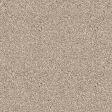 Shaw Floors Nfa Inspire Me II Scone