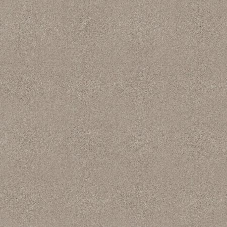 Shaw Floors Nfa Inspire Me II Catnip