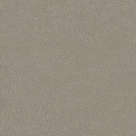 Shaw Floors Nfa Inspire Me II Frosted Ice