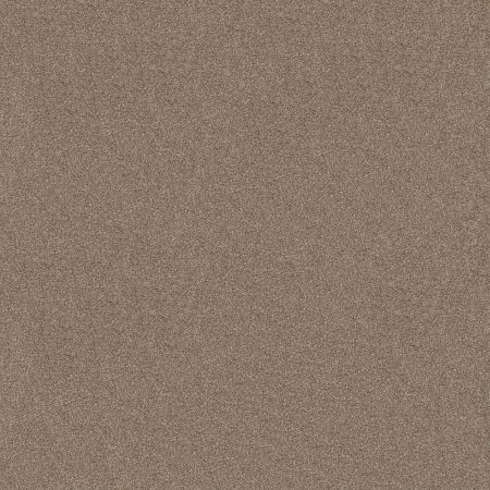 Shaw Floors Nfa Inspire Me II Sombrero