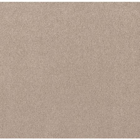 Shaw Floors Nfa Simple Life Palm Desert