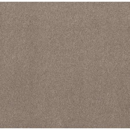 Shaw Floors Nfa Simple Life Carriage House