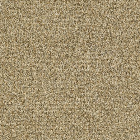 Philadelphia Commercial Property Solutions Privileged 26 Woodland