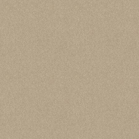 Shaw Floors Queen Knockout II 12' Oyster Pearl