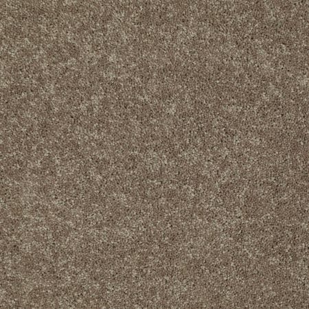 Shaw Floors Queen Knockout II 15' Sequoia