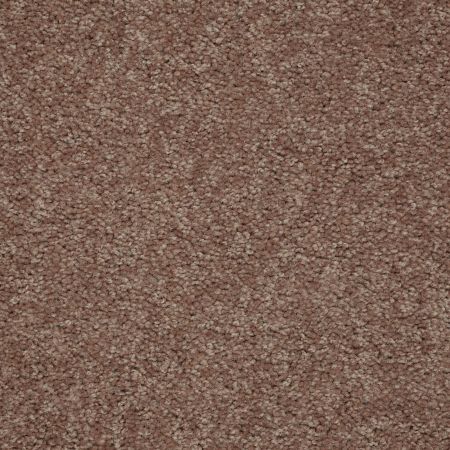 Shaw Floors Queen Knockout II 15' Antique Leather