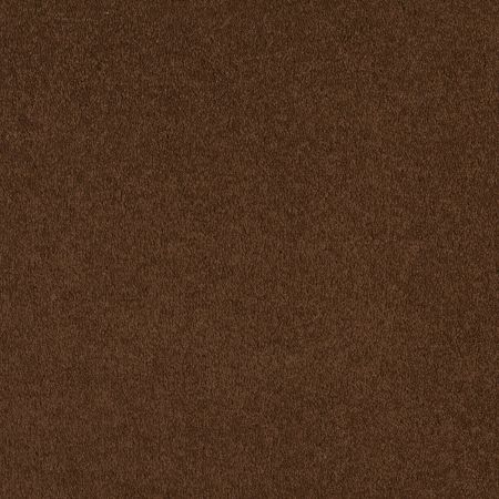 Shaw Floors Sandy Hollow I 12' Tortoise Shell