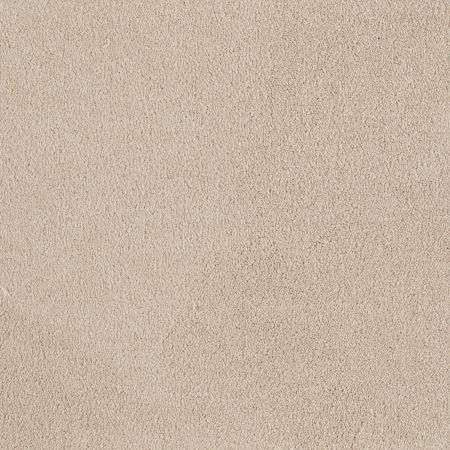 Shaw Floors SFA Timeless Appeal I 12' Mushroom