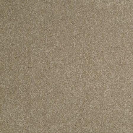 Shaw Floors SFA Timeless Appeal III 12' Chinchilla