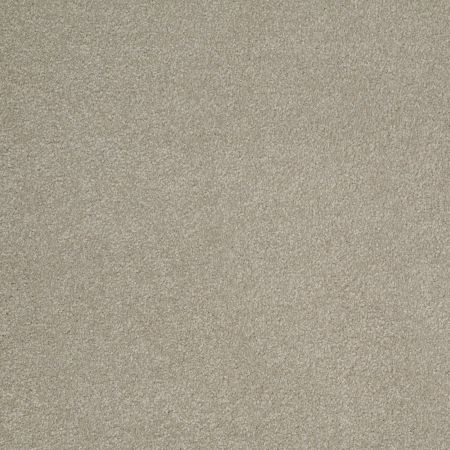 Shaw Floors SFA Timeless Appeal III 12' London Fog
