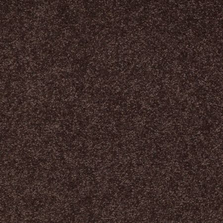 Shaw Floors SFA Timeless Appeal III 15' Tundra