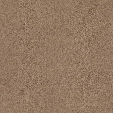 Shaw Floors Anso Premier Dealer Great Effect I 12' Adobe