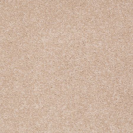Shaw Floors Anso Premier Dealer Great Effect I 12' Stucco