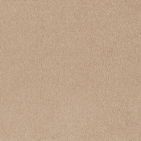 Shaw Floors Anso Premier Dealer Great Effect I 12' Almond Flake