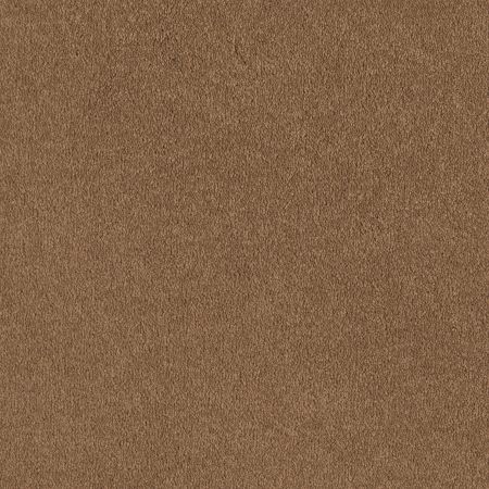 Shaw Floors Anso Premier Dealer Great Effect I 12' Peanut Brittle