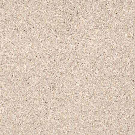 Shaw Floors Shaw Floor Studio Bright Spirit III 15' Cashew