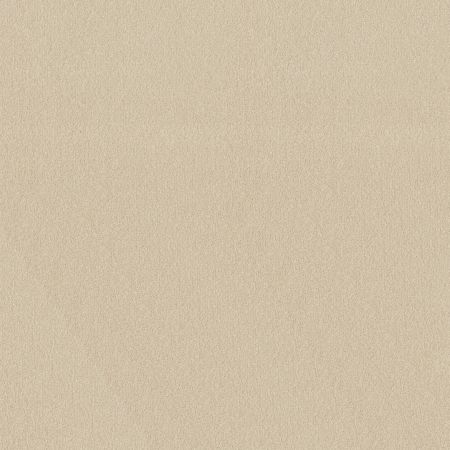 Shaw Floors Sophistication 12' Mushroom