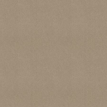 Shaw Floors Sophistication 12' Soft Shadow