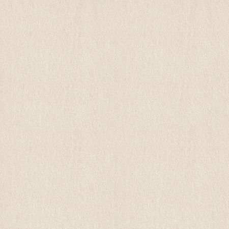 Shaw Floors Sophistication 12' Sweet Cream