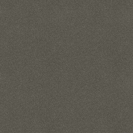 Shaw Floors Sophistication 12' Slate
