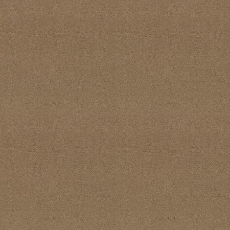 Shaw Floors Sophistication 12' Muffin