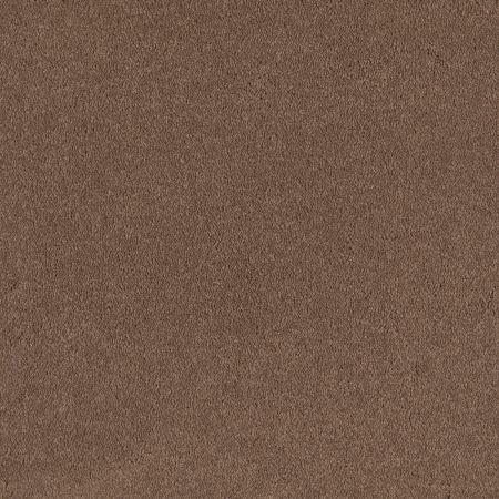 Shaw Floors Shaw Design Center Sweet Valley I 12' Mojave