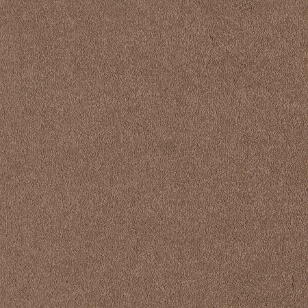 Shaw Floors Shaw Design Center Sweet Valley I 12' Muffin