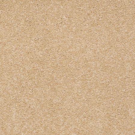 Shaw Floors Shaw Design Center Sweet Valley I 15' Cornfield