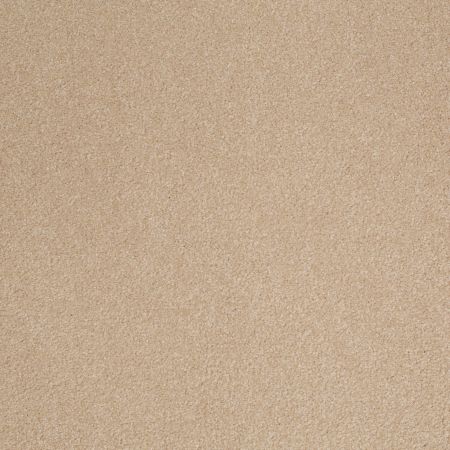 Shaw Floors Shaw Design Center Sweet Valley III 12' Stucco