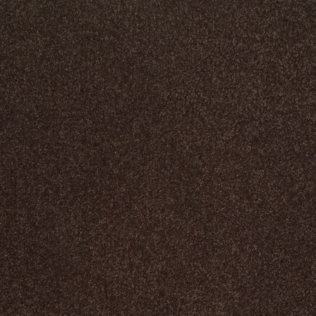 Shaw Floors Shaw Design Center Sweet Valley III 12' Tundra