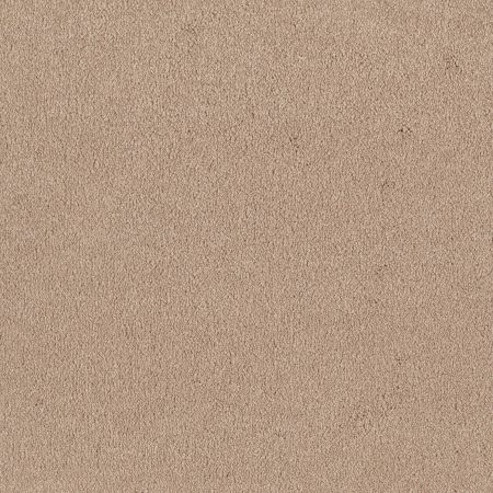 Shaw Floors Roll Special Qs157 12' Cashew