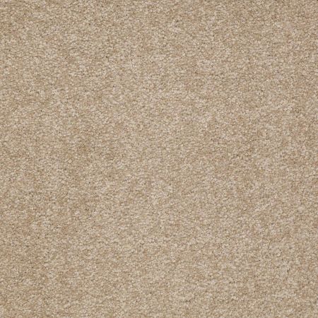 Shaw Floors Roll Special Qs157 12' Sahara