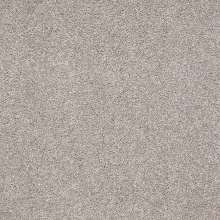 Shaw Floors Roll Special Qs158 12' London Fog