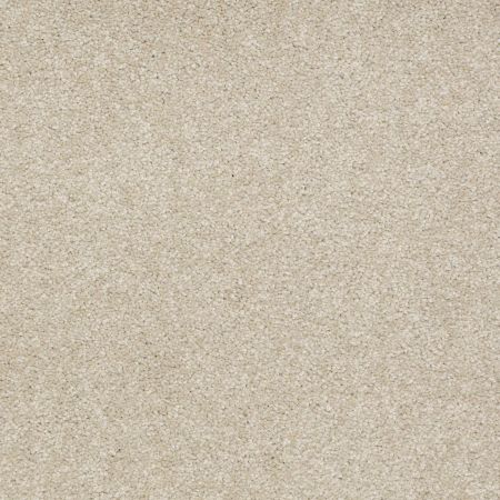 Shaw Floors Roll Special Qs161 15' Country Haze