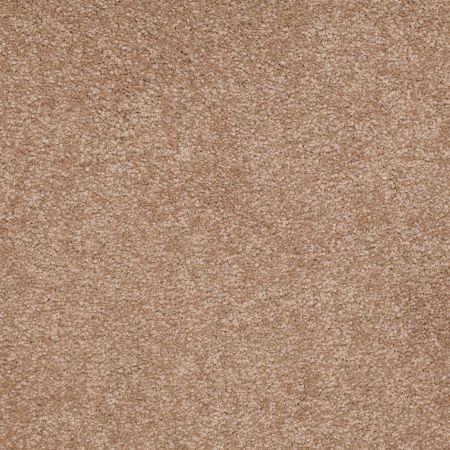 Shaw Floors Roll Special Qs161 15' Muffin