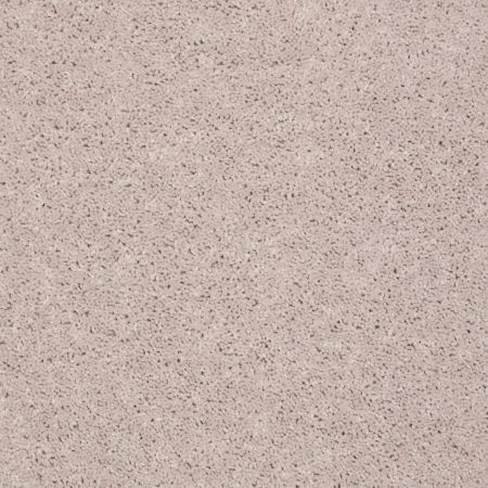 Shaw Floors Roll Special Qs216 Moon Beam