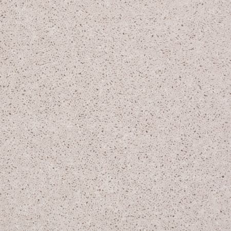 Shaw Floors Roll Special Qs232 Halo