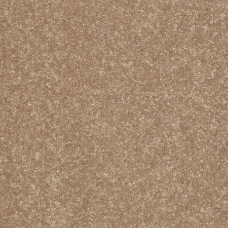 Shaw Floors Roll Special Qs232 Tassel