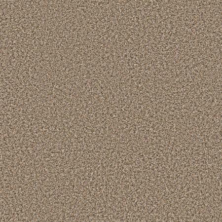 Shaw Floors Simply The Best Qs850 Burlap