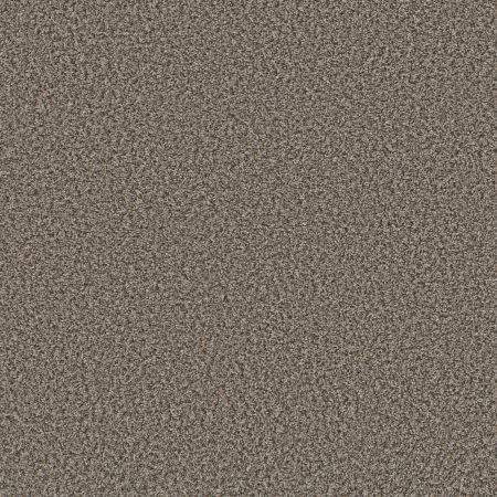 Shaw Floors Simply The Best Qs850 Boulder