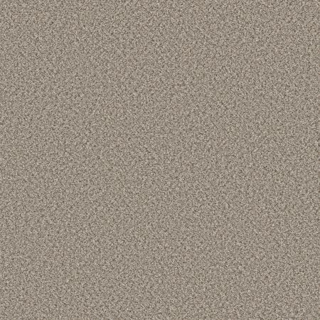 Shaw Floors Roll Special Qs853 Stepping Stone