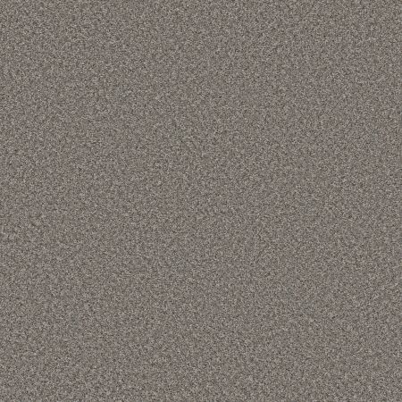 Shaw Floors Roll Special Qs853 Washed Suede