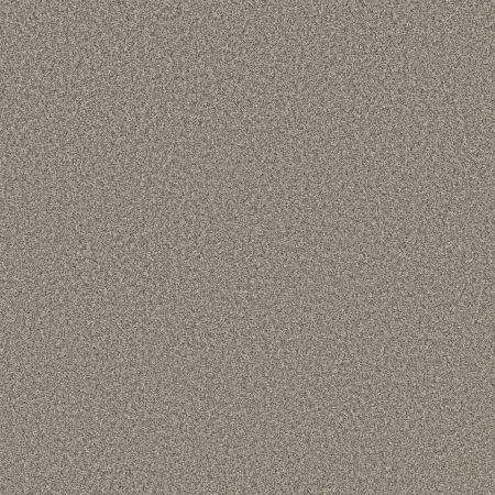 Shaw Floors Roll Special Qs854 Shooting Star