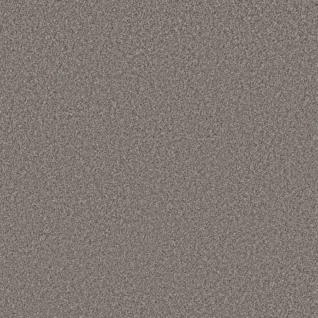 Shaw Floors Roll Special Qs854 Meteor