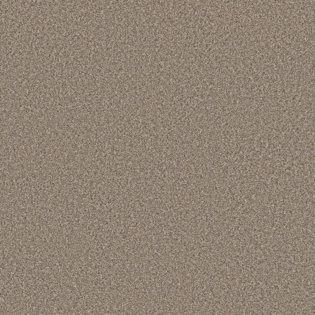 Shaw Floors Roll Special Qs854 Desert Dune