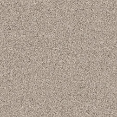 Shaw Floors Roll Special Qs855 Beige Mist