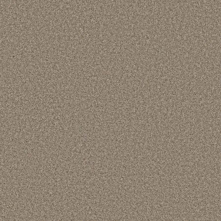 Shaw Floors Simply The Best Qs858 Parchment