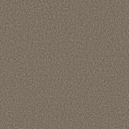 Shaw Floors Simply The Best Qs858 Woodcraft